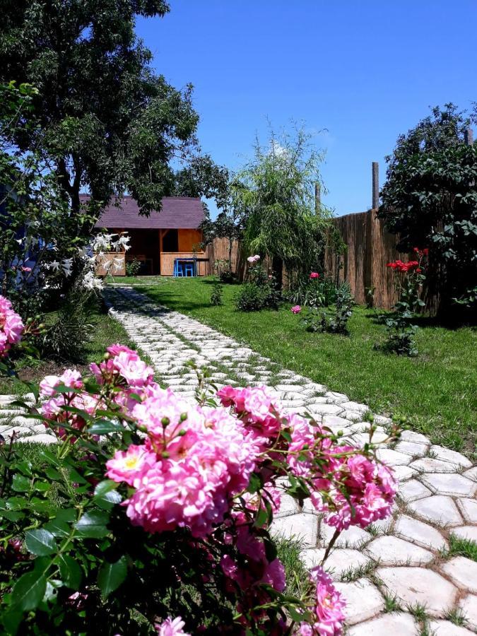 Villa Casa Pavel Jurilovca Exterior foto