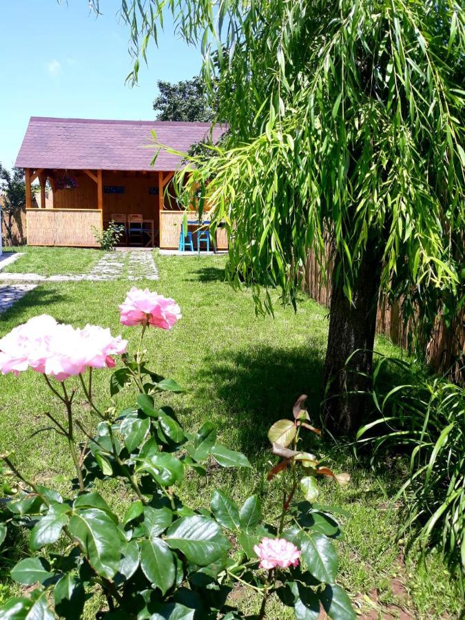 Villa Casa Pavel Jurilovca Exterior foto