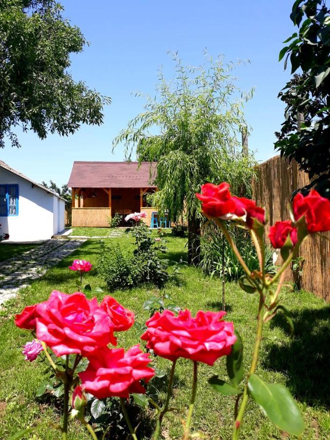 Villa Casa Pavel Jurilovca Exterior foto